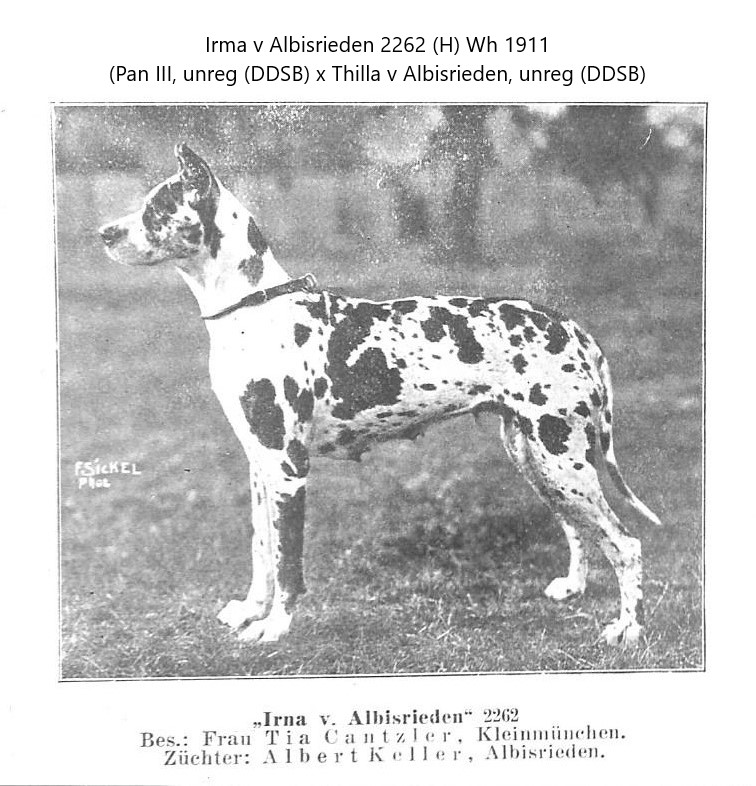 Irma v Albisrieden
